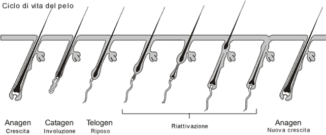 epilazione totale donna